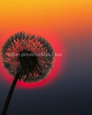 Анкета проститутки Ксюша - метро Тверской, возраст - 34